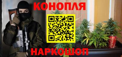 прущие крисы Кингисепп
