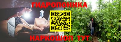 меф Кимры