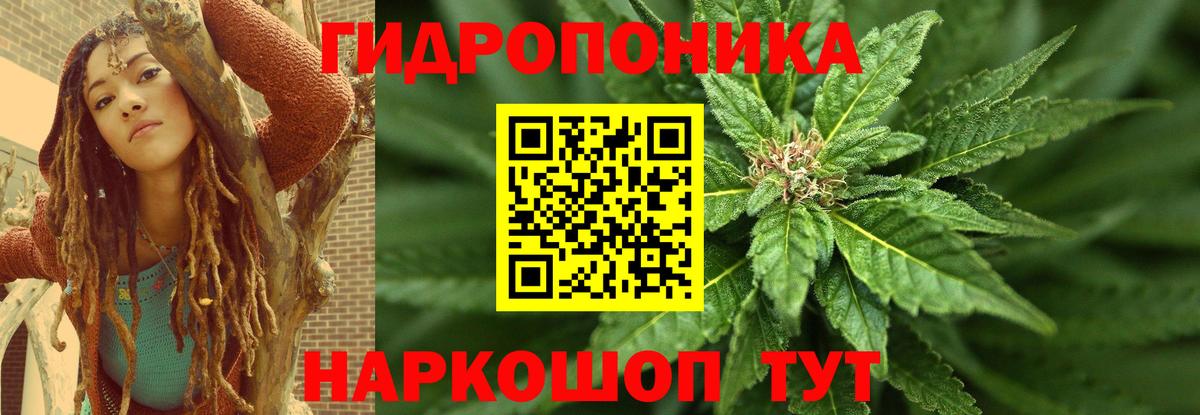 Каннабис OG Kush Тихорецк